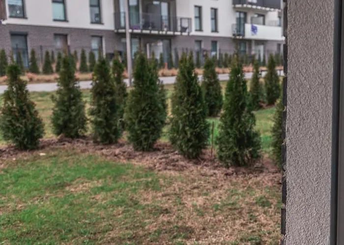 Nowy Przy Onkologii I Politechnice Bydgoszcz